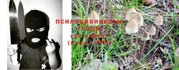 гидропоника Балабаново