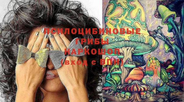 тгк Баксан