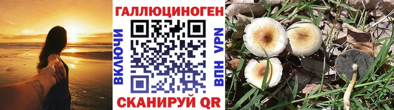 Псилоцибиновые грибы ЛСД  Моздок 